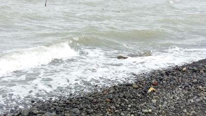 Lənkəranda hərbi hissənin yaxınlığında tank əleyhinə minalar tapıldı - FOTO